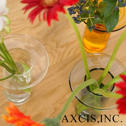 AXCIS, INC. 品牌文字出現在玻璃花瓶的圖片上，其中兩個透明玻璃花瓶裝有鮮花和綠葉。