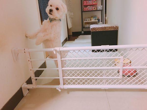 口碑推薦【之琳到你家】｜平安伸銅之伸縮桿萬能系列 Part II