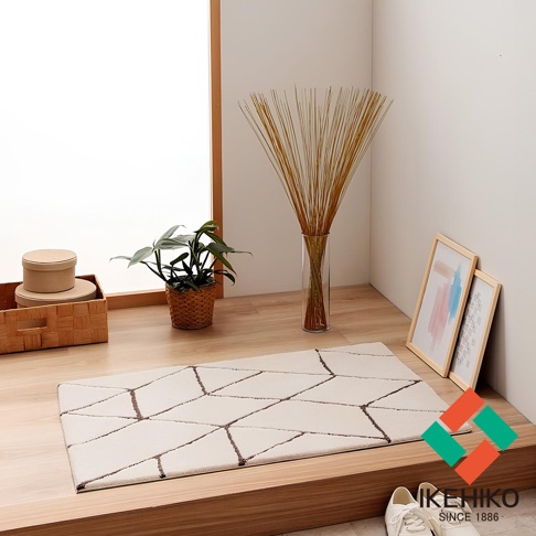 一張簡潔的米白色地毯，上面有深棕色菱形幾何圖案，鋪設在木質地板上。左側有編織籃與圓形紙盒，右側有兩個畫框和一瓶玻璃花瓶插著乾枯的草束。