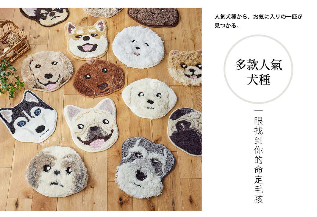 木質地板上展示多款SUMINOE品牌INUKAO系列狗狗造型椅墊，包含哈士奇、柴犬、黃金獵犬、法鬥、雪納瑞等多種人氣犬種款式，採用毛絨質感設計，呈現各類品種狗臉的可愛細節。圖片右側搭配文字說明，強調能從中找到喜愛的狗狗款式。