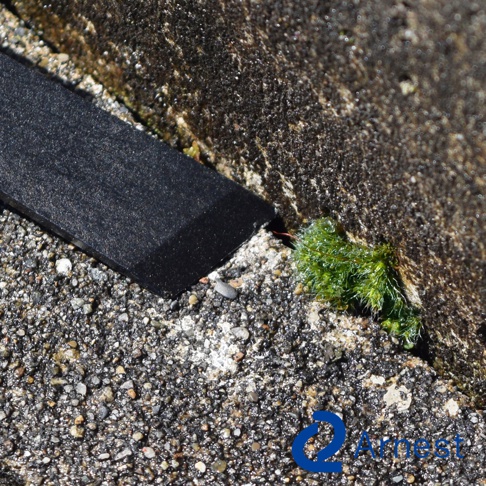 黑色零死角清潔刮刀，長方形，邊緣有細微磨損。刮刀置於粗糙的灰色石質表面，旁邊有一小叢綠色苔蘚。