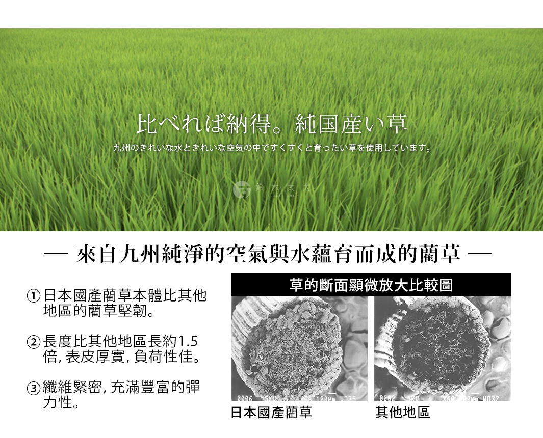 YUME 藺草組合式五折疊榻榻米睡墊，100x210cm，展示日本國產藺草與其他地區藺草的顯微鏡斷面比較圖，凸顯日本藺草的纖維緊密與厚實。