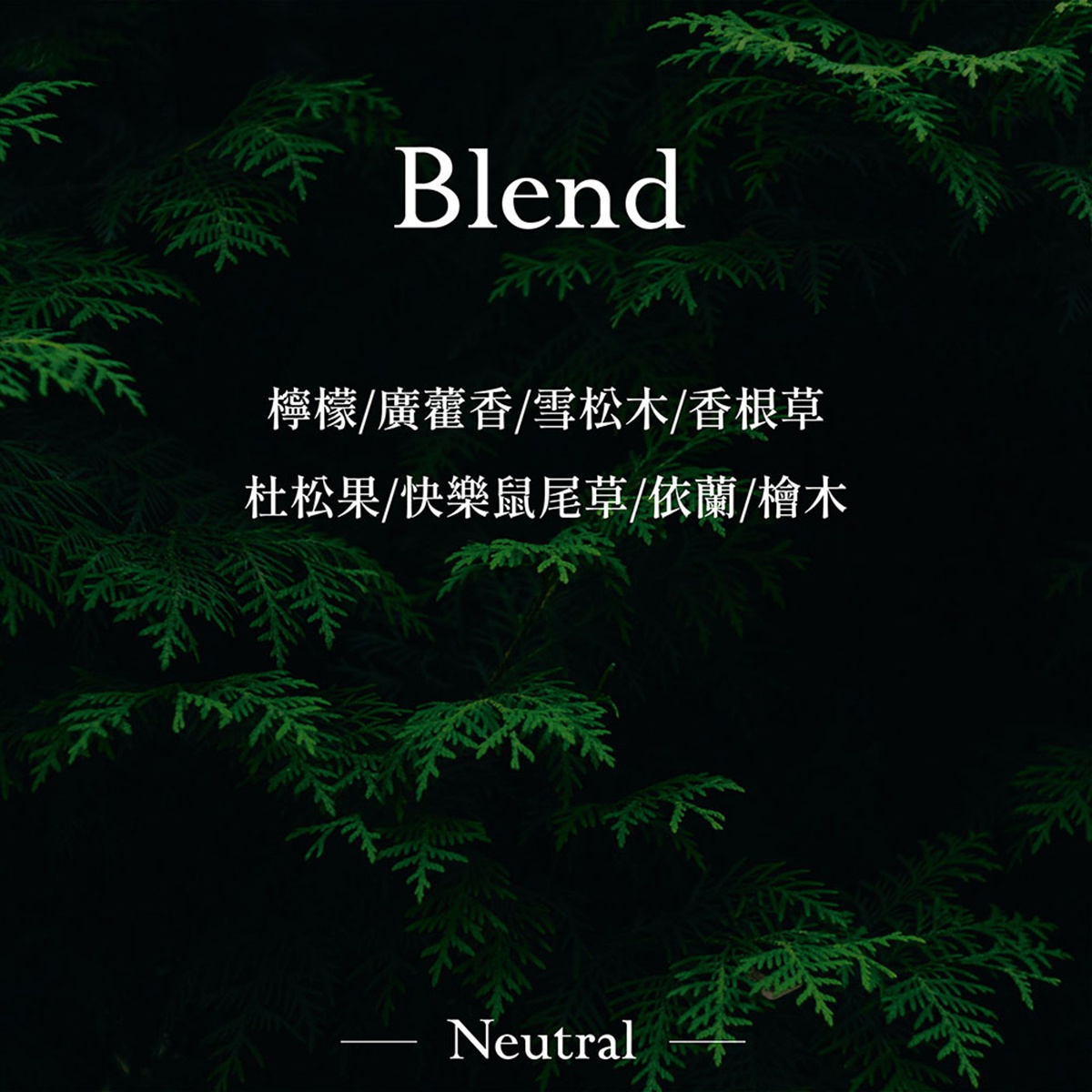 圖片文字：Blend 檸檬/廣藿香/雪松木/香根草 杜松果/快樂鼠尾草/依蘭/檀木 Neutral