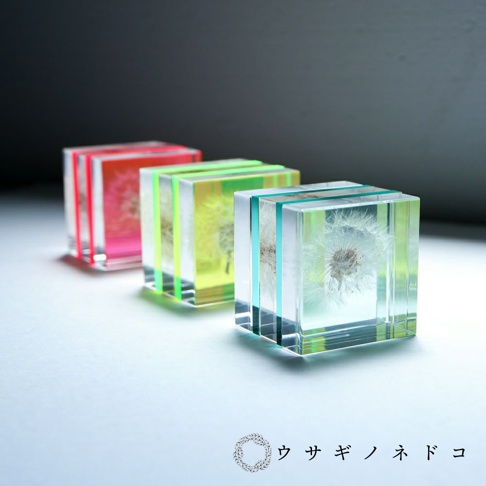 三款 Sola cube Slice 螢光觀賞斷層塊，分別為螢光紅、螢光綠及螢光藍。每個斷層塊皆由透明壓克力製成，內部封存著蒲公英的種子，呈現立體方塊狀。