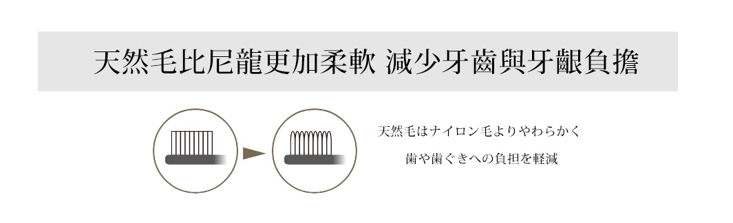 這張圖片以繁體中文與日文對照說明天然毛牙刷的優勢，上方橫幅標題說明天然毛比尼龍更加柔軟，能減少牙齒與牙齦負擔。下方左側顯示直立排列的尼龍刷毛，箭頭指向右側呈現圓弧柔軟狀的天然刷毛，對應的日文說明天然毛比尼龍刷毛柔軟，可減輕對牙齒與牙齦的負擔。