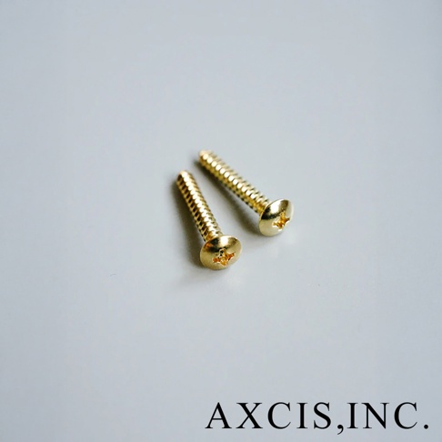 AXCIS, INC. 標誌下方展示著兩個金色的十字螺絲，它們呈對角線排列，背景為淺灰色。