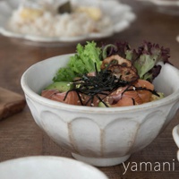 淺米色陶瓷丼碗，碗身帶有六個凹槽紋飾，盛有鮭魚、酪梨、海苔絲、芝麻及生菜等日式料理。