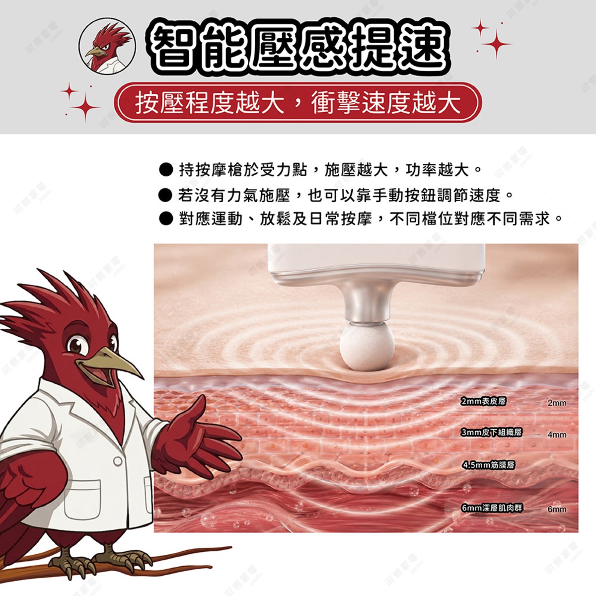 圖片文字：智能壓感提速，按壓程度越大，衝擊速度越大。特點包含：持按摩槍於受力點，施壓越大，功率越大。若沒有力氣施壓，也可以靠手動按鈕調節速度。對應運動、放鬆及日常按摩，不同檔位對應不同需求。圖片展示了一隻穿著白袍的紅色鳥類卡通人物，旁邊配有按摩槍頭深入皮膚組織的剖面圖，標示出表皮層、皮下組織、筋膜層及深層肌肉群的深度。