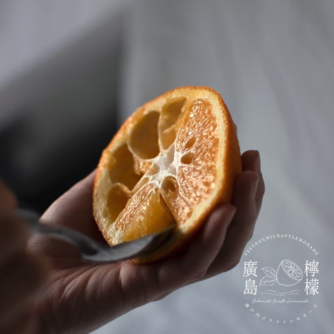一隻手正拿著金屬湯匙，輕輕挖取切半的蜜柑果肉，特寫鏡頭呈現出細膩飽滿的果實質感與鮮豔橘色，右下方印有廣島檸檬與 Setouchi Craft Lemonade 的品牌標誌。
