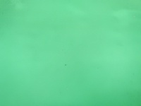 1330160224_6
