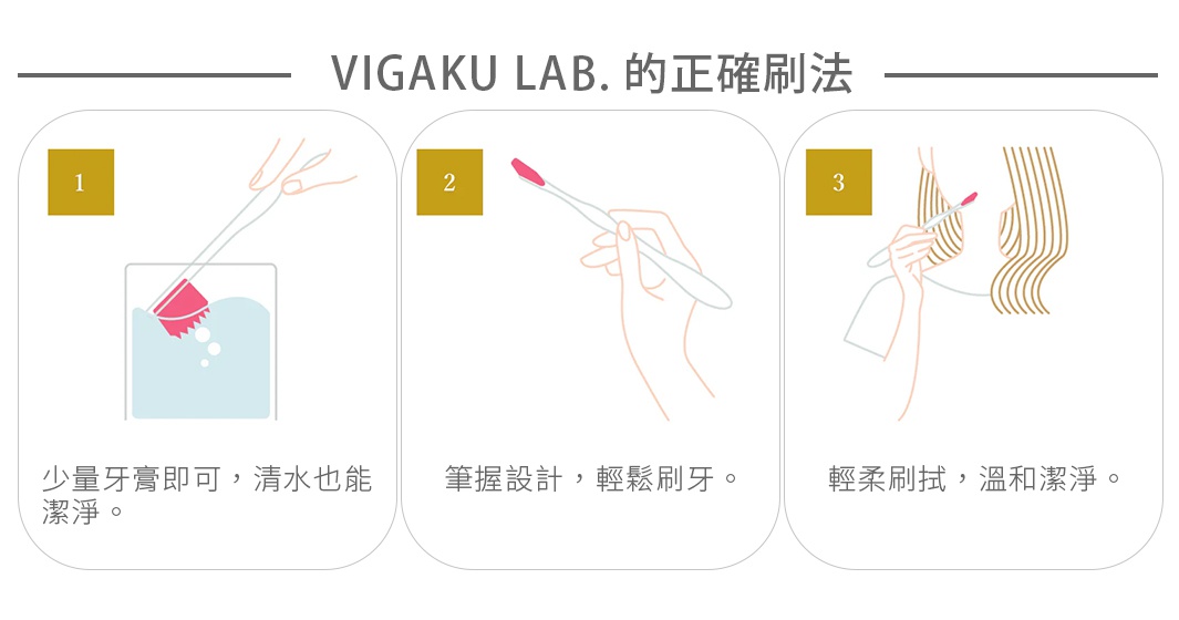 美學實驗室VIGAKU LAB. 正確刷牙步驟圖，包含沾濕牙刷、少量牙膏以及輕柔刷拭三個步驟說明。