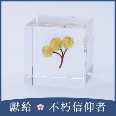 Sola cube 永久花立方塊 (宙言葉：心的太陽)