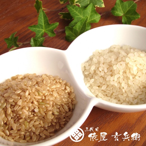 白色雙格碗裝著兩種米：左邊是淺棕色的糙米，右邊是白色的精米。背景有綠葉點綴，木質桌面。