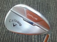 OPUS Chrome 48-10S 挖起桿 (桿身 N.S.PRO 950GHneo(JP))