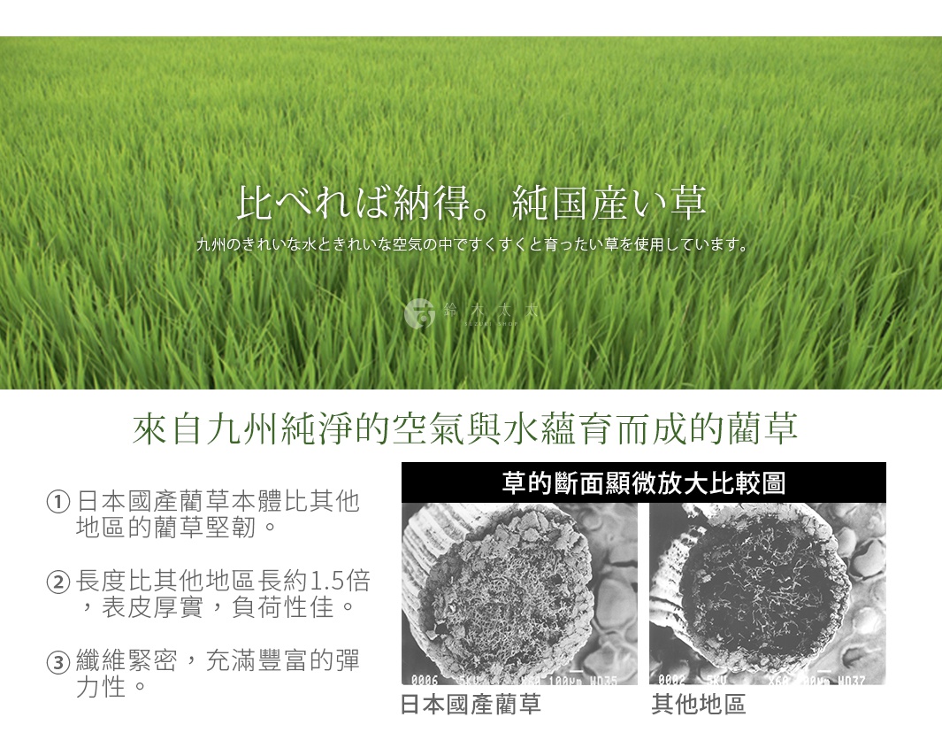 日本國產藺草，30公分長，質地堅韌，纖維緊密，充滿彈性。圖片為放大比較圖，顯示日本國產藺草與其他地區藺草的斷面差異。