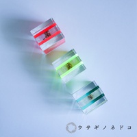 三個透明壓克力立方體，內含蒲公英種子，每個立方體有兩條不同顏色的螢光橫條：紅色、黃綠色及綠色。