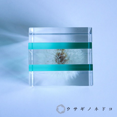 透明壓克力塊內嵌有蒲公英種子，兩側有兩條螢光綠色條紋，呈現斷層結構。