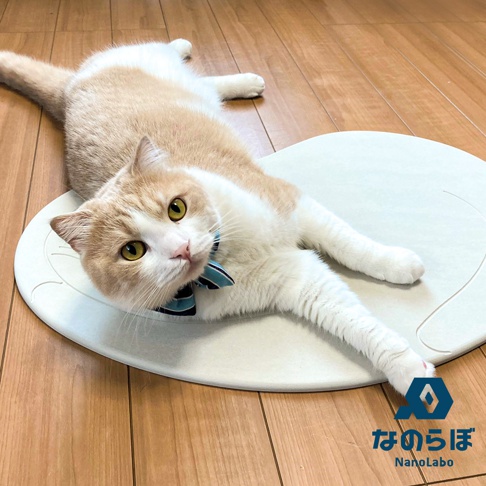 奶油色與白色相間的貓咪，戴著藍色條紋領結，趴在圓形白色珪藻土地墊上。