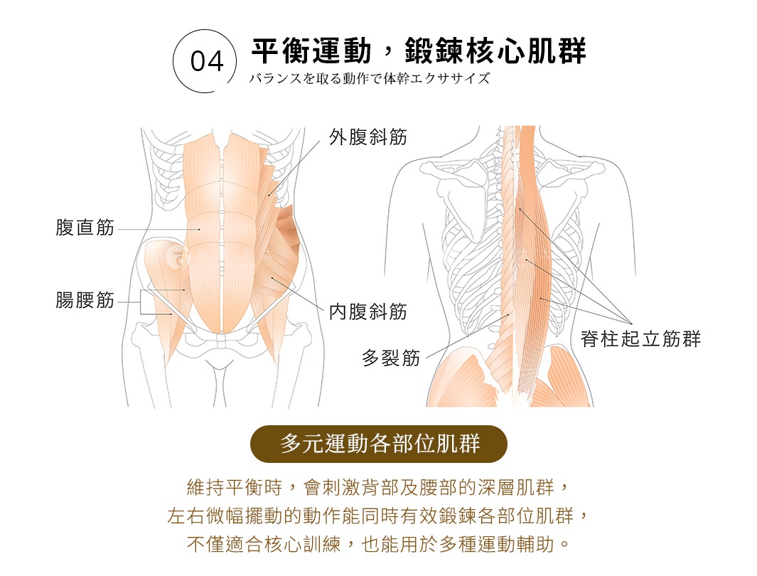 04 平衡運動，鍛鍊核心肌群
バランスを取る動作で体幹エクササイズ
多元運動各部位肌群：維持平衡時，會刺激背部及腰部的深層肌群，左右微幅擺動的動作能同時有效鍛鍊各部位肌群，不僅適合核心訓練，也能用於多種運動輔助。
