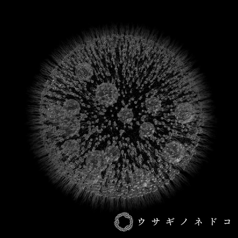 Sola cube Micro雷射雕刻微生物立方塊，透明立方體內雕刻著複雜的團藻結構，細小的球狀體和纖細的絲狀物交織，呈現出細緻的紋理和立體感。