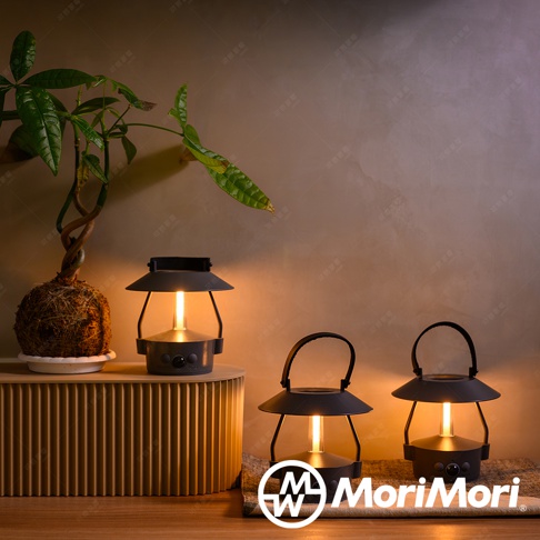 兩個黑色LED氣氛燈，一個放在有植栽的層架上，另一個放在地毯上，燈光溫暖，營造居家氛圍。