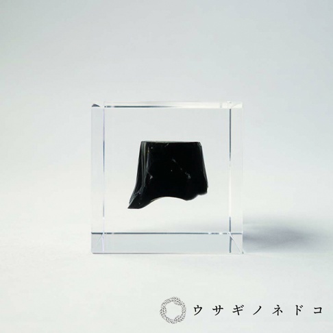 透明立方體內嵌著一塊不規則形狀的黑色黑曜石，表面帶有光澤，置於白色背景上。