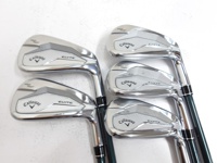 ELYTE MAX FAST 鐵桿組 (桿身 LIN-Q GREEN 40 for CW(JP) 5S)