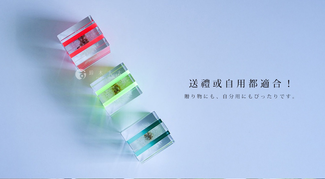 三個透明方形壓克力塊，內含乾燥植物，分別飾有紅色、螢光綠及綠色帶。