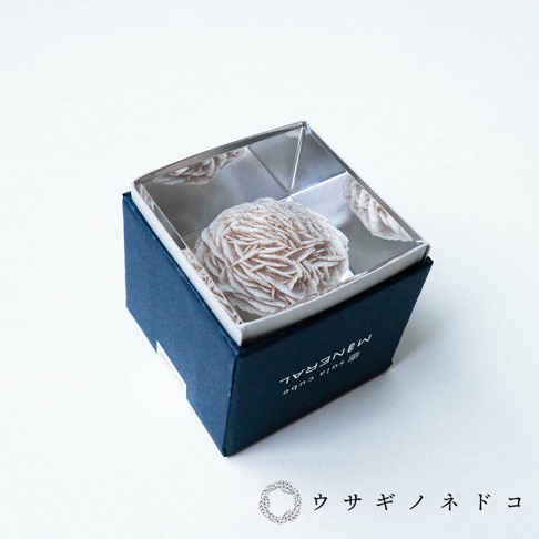 深藍色紙盒內，盛放著一塊淺米色的沙漠薔薇礦石，其層疊的紋理如同盛開的花朵，礦石置於銀色光滑的內襯中，背景為白色。