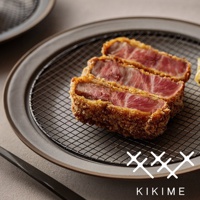 amime 美濃燒瀝油餐盤-附全黑網 L