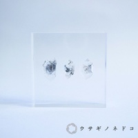 透明壓克力塊內嵌三片天然水晶標本，水晶呈不規則塊狀，帶有灰色及黑色內含物，表面晶瑩剔透。