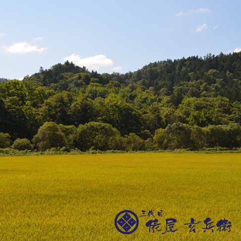 廣闊金黃稻田，遠景為綠意盎然的山林，上方為藍天白雲。右下角有藍色紋飾及日文書法字樣。