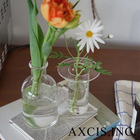 AXCIS, INC. 標誌下方，左側是帶有橘色和黃色鬱金香的大玻璃花瓶，右側是帶有白色雛菊的小玻璃花瓶。
