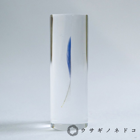 圓柱形透明樹脂封存著一根鮮豔的藍色鳥類羽毛，羽毛的細長羽軸清晰可見，呈現出精緻的自然紋理。