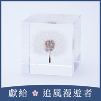Sola cube 蒲公英立方塊 (宙言葉：隨風而生)
