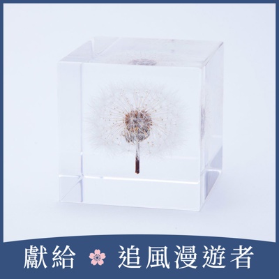 Sola cube 蒲公英立方塊 (宙言葉：隨風而生)