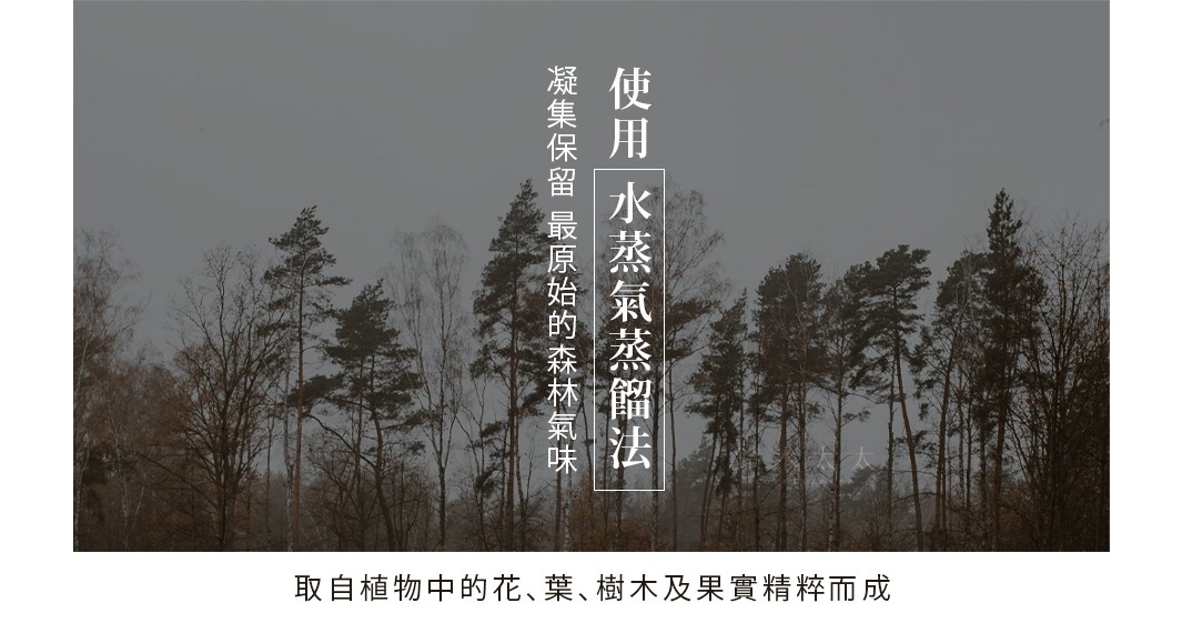 輔助系列-S06 純天然沉睡精油(10ml)；圖片背景為陰天下的森林，樹木高聳，呈現深綠、枯黃與灰褐色調。上方有白色文字「使用水蒸蒸餾法 凝集保留最原始的森林氣味」。