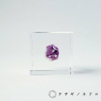 透明立方體中懸空放置著一塊紫水晶原礦，呈現不規則的塊狀，表面有紫色晶體和部分白色雜質。