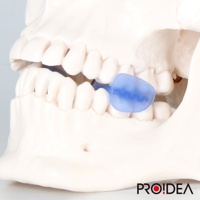 模型牙齒展示一個半透明藍色、帶有螺旋紋路的睡眠防磨牙靜音牙套，放置於臼齒之間。