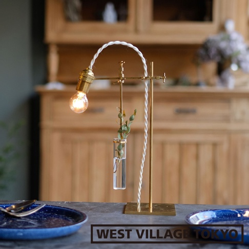 黃銅可夾式玻璃花器，配有彎曲的白色編織電線連接到黃銅燈座，燈泡發光，一個小玻璃試管懸掛在黃銅支架上，內有綠色植物和水。