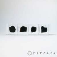 四個透明立方體展示著不規則形狀的黑色礦石，呈現半透明的質地，光線穿透礦石。