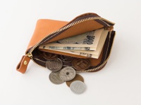 お札と小銭を分けて収納。※L字ファスナーで大きく開くので、小銭は取り出しやすい反面、全開時に落ちやすくもなります。ご使用の際はお気を付け下さい。