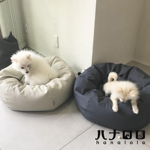 兩隻白色博美犬分別坐在淺米色與深灰色的日本hanalolo寵物懶骨頭上，圓形的皮革款沙發呈現柔軟舒適的質感，畫面簡潔明亮，展示了寵物用品的設計樣貌。