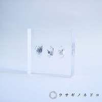 Sola Tile 1.5cm厚切型片狀標本 水晶