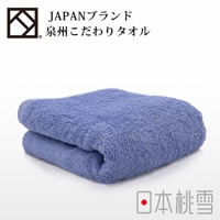 一條疊好的淺藍色厚實毛巾，材質看起來柔軟蓬鬆，具有細緻的毛圈。