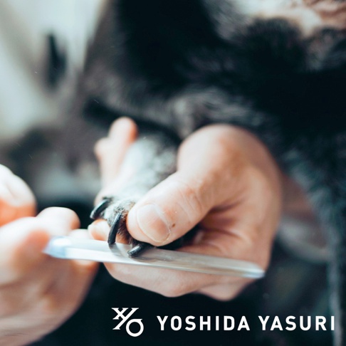 職人雙手使用銀色金屬銼刀為寵物修剪指甲，寵物腳部毛色為灰白色。