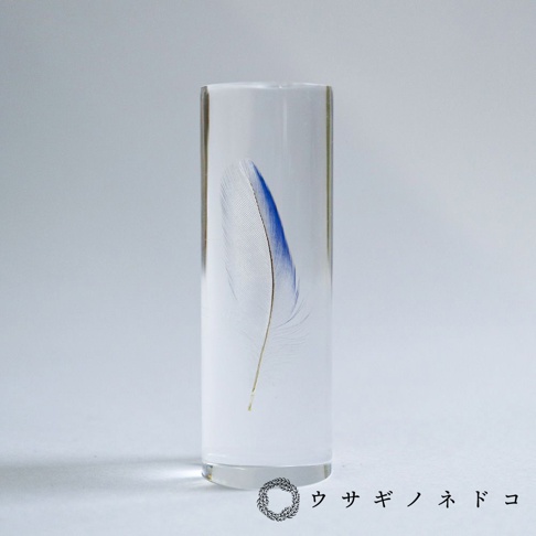 透明樹脂中包裹著一根虎皮鸚鵡羽毛標本，羽毛末端呈現藍色，羽軸為淡黃色。