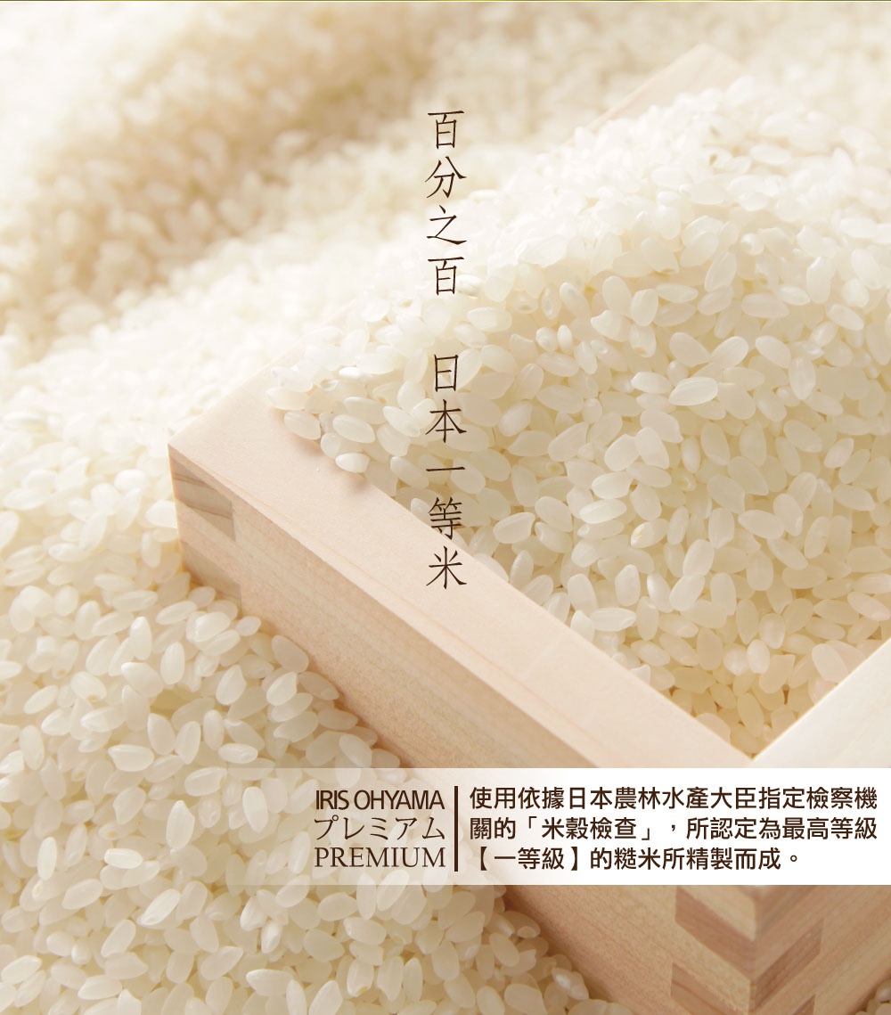 rice_04