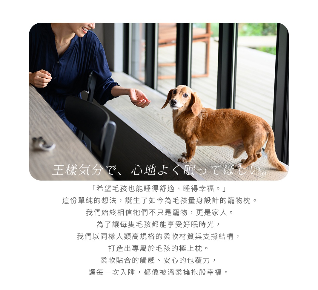 王樣寵物夢枕 S，一名女子正在將零食餵給一隻臘腸犬，圖片下方有日文及中文的介紹文案