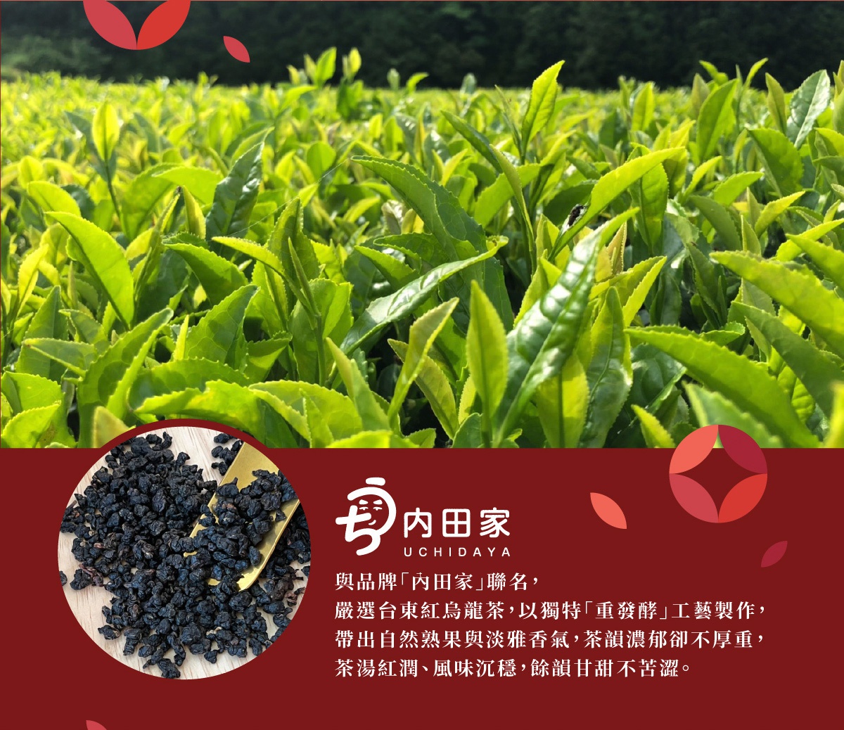 圖片文字：與品牌內田家聯名，嚴選台東紅烏龍茶，以獨特重發酵工藝製作，帶出自然熟果與淡雅香氣，茶韻濃郁卻不厚重，茶湯紅潤、風味沉穩，餘韻甘甜不苦澀。